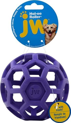 JW Pet HOLEE Roller Ball Dog Chew Treat Fetch Bouncy Toy Medium 5 inch Bundle 3