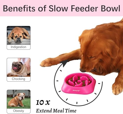 MateeyLife 1-Pack Slow Feeder Dog Bowls, 2 Cups, Dog Puzzle Feeder Bowl