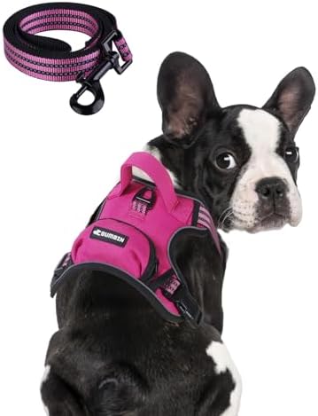 BUMBIN Dog Harness for Large Dogs, No Pull Adjustable No Choke Pet Vest with Dog Leash Fit Smart Reflective Pet Walking Harness for Training Easy Control Soft Handle Rose Red L