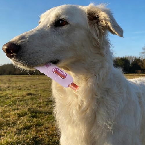 Sausage-Shaped Dog Chew Toy with Teeth Cleaning Bristles (Pink)