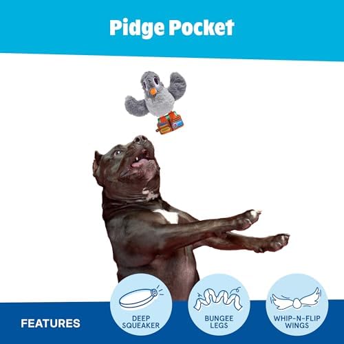 BarkBox Pidge Pocket Dog Toy - for Dogs