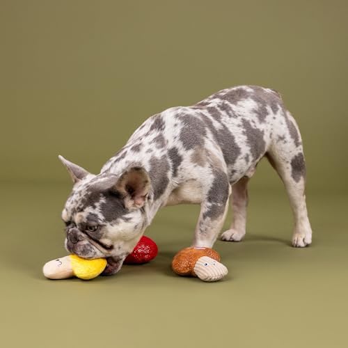 Fringe Studio Plush Dog Toy, 3 Pieces Set, SHROOMING, Pet Shop Collection (662176)