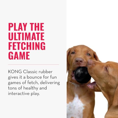 KONG Extreme Ball with Hole, Fetch Toy, Black, for Large/X-Large Dogs