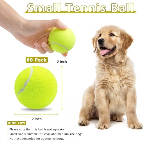 Magicorange Small Tennis Balls, 60 Pack 2 inch Tennis Balls for Dogs