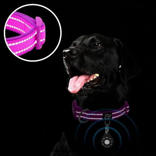 azuza Airtag Dog Collar, Medium Dog Collar with Airtag Holder, Purple, M
