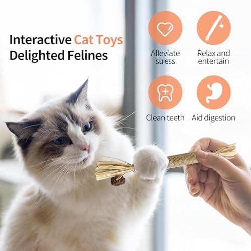 Natural Silvervine Sticks 3Pcs, Cat Chew Toys for Kitten Teething