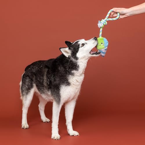 Fringe Studio Plush Dog Toy with Rope, Cone-FIDENCE is Yummy, Pet Shop Collection (314528)