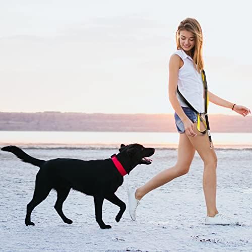 Heavy Duty Dog Leash for Large Dogs – 6FT Reflective Bungee with Padded Handles, Strong Carabiner Clip, No Pull Control for Medium & Large Breeds, Includes Poop Bag Holder & Treat Pouch (Orange)