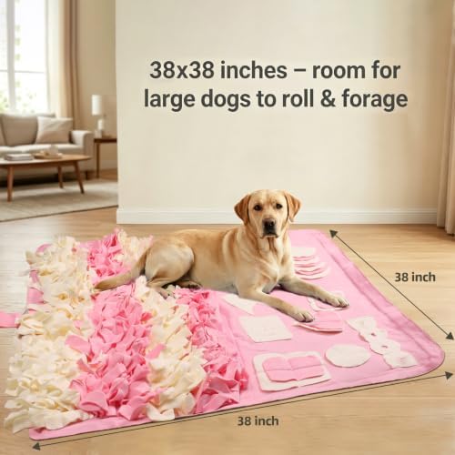 Snuffle Mat for Dogs: Slow Food Interactive Experience