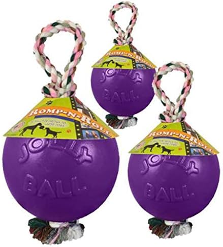 Jolly Pets Romp-N-Roll Rope & Ball Dog Toy, 8 in Large, Purple