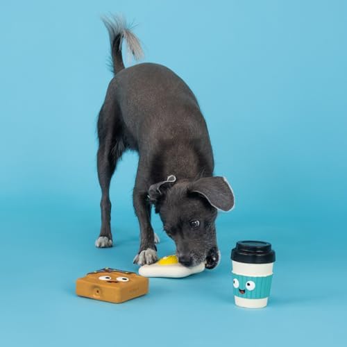 Fringe Studio Dog Toy Set, Love You Brunch, 3Pc Mini, Latex, Pet Shop Collection (367042)