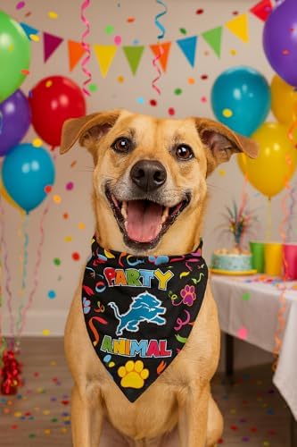 NFL Detroit Lions Pet Birthday Bandana, NFL Dog Birthday Party Set and Costume, Licensed Dog & Cat Birthday Party Scarf, Football Team Pet Outfit, Puppy Bday Accessory, Size Small/Medium