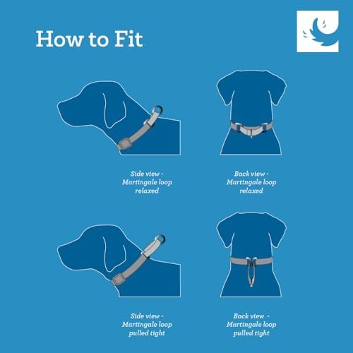 RC Pets 1-1/2 Inch All Webbing Martingale Training Dog Collar, Large, Watermelon