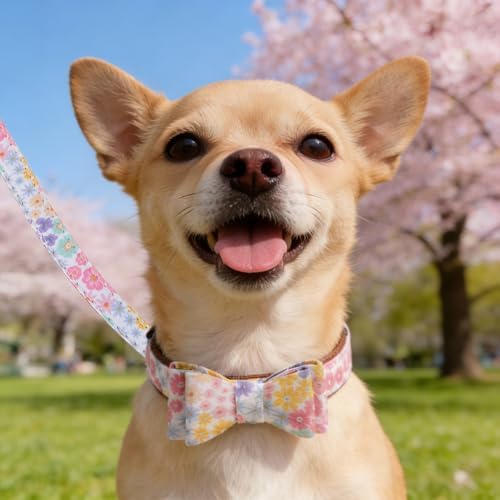 KOOLTAIL Summer Dog Collar and Leash Set with Bowtie and Bells - Cute Fancy Puppy Collar and Leash for Boy or Girl with Flower Pattern, Soft Leather Tangle Free Leashes for Small Dogs,Cats