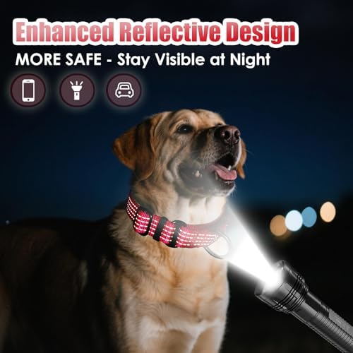 Martingale Dog Collar, Reflective No Pull with Buckle, Red, M