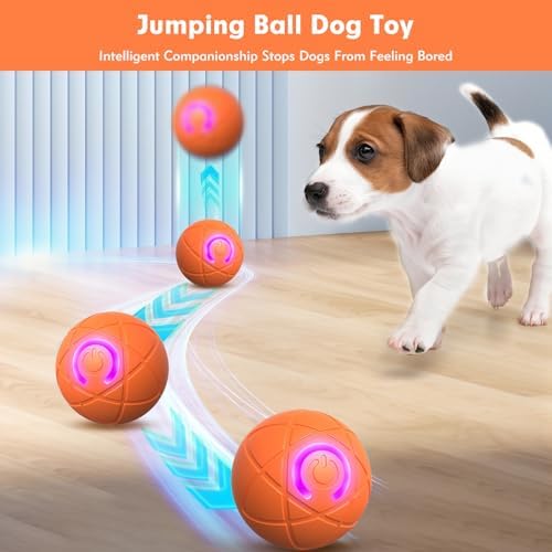 Interactive Dog Toys, Orange, for Small Dogs