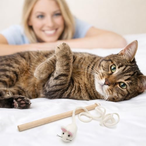 Glaciart One Mouse on a String Cat Toy – Durable Wooden Wand Cat Toy with Natural Wool Felt Mouse w/Catnip, Interactive Cat Toy on a Stick & Cat String Toys for Indoor Cats to Chase & Exercise