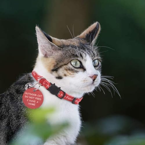 KOOLTAIL Cat Collar with Bell,3 Pack Do Not Feed Cat Collars with Warning Board Hanging Do Not Feed Me,Cute Lightweight Adjustable Breakaway Kitten Collar with Safety Buckle