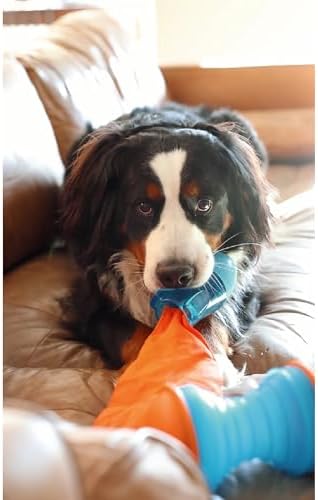 GURU Bonanza Rocket Dog Toy - Interactive Fetch, Tug & Treat Dispensing Toy - Hides & Dispenses Treats, Squeaks-Crinkles-Floats, Interactive Tug-Toss-Retrieval - Indoor & Outdoor Play for Medium Dogs