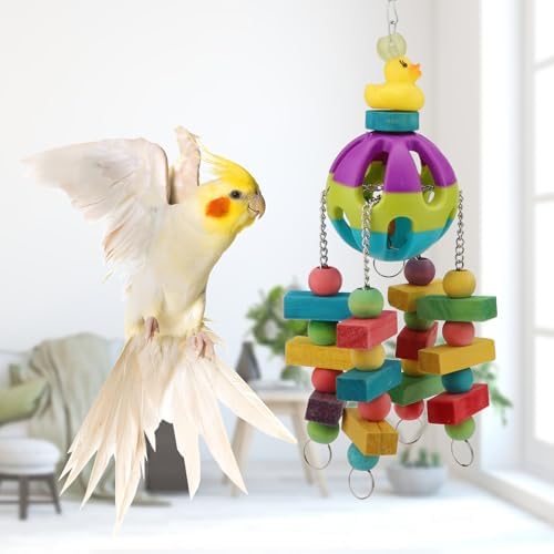 Hypeety Parrot Ball Toy Plastic Colorful Bird Chew Ball with Bells for Cage