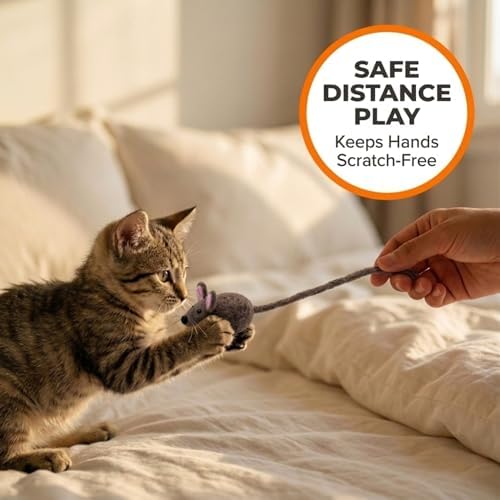 Glaciart One Mini Felt Mouse Cat Toy – Kitten & Small Cat Size, Natural Wool Catnip Toy, Soft Fuzzy Interactive Play Toy for Indoor Kittens, Safe Non-AZO Dyes, 1.4” Body with 12” Tail