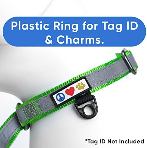 Pawtitas Customized Martingale Dog Collar Reflective Reflective Dog Collar Embroidered Personalized Name Phone Number Adjustable for Puppies Small Medium Large Size Dogs Medium Green