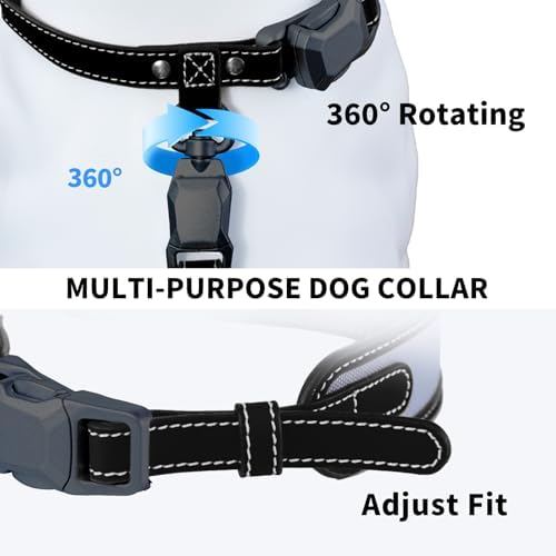 Magnetic Dog Collar and Leash Set with Quick Release Buckle, Easy On & Off Faux Leather Puppy Collar with 4FT Leash for Small, Medium Dog