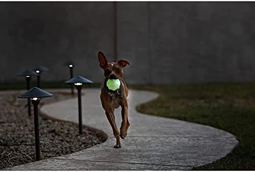 Jolly Pets Jolly Jumper Bouncing Treat Dog Ball, 4 in Large, Glow