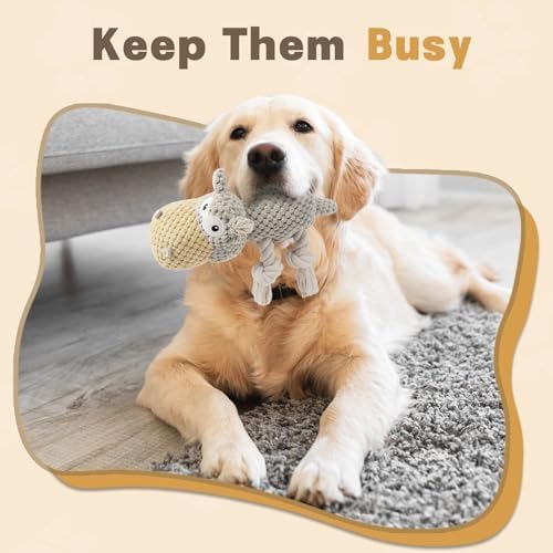 TOOPTATE Hippo Squeaky Dog Toy, Gray, Medium