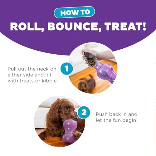 Outward Hound Double Snoop Interactive Treat Dispensing Dog Toy, Purple, 6" | Rolls & Bounces, Treat Stuffer, Puzzle Ball & Slow Feeder, Enrichment, Mint Scented, Easy Clean, No BPA, Medium to Large Dogs