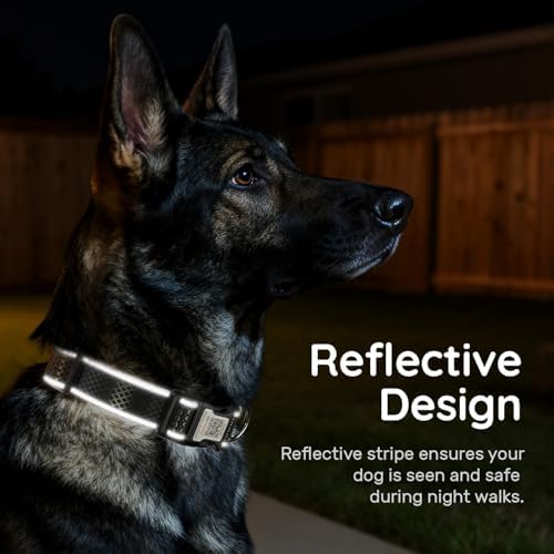 Reflective Personalized Dog Collar, Large Dogs, Black, L (15.7"-23.6")