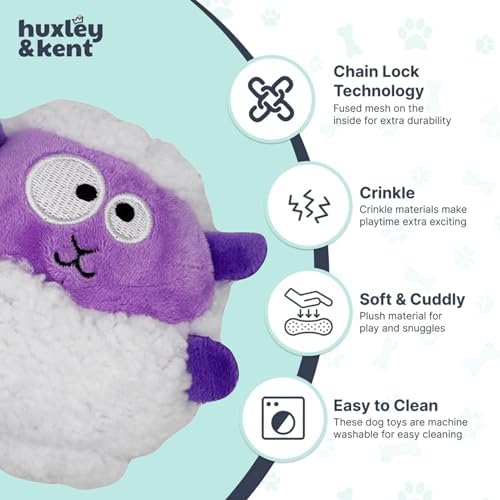 Huxley & Kent Funny Dog Toy w/Squeaker – Power Plush Squeaky Dog Toys for Small Dogs – Durable Small Stuffed Animal for Indoor Play & Fetch - Tiny Tuff Lady Baba