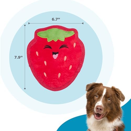 Outward Hound Tough Skinz Durable Chew Squeaky Dog Toy, Strawberry, 7.9"