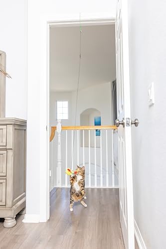 SPOT A-Door-Able Plush Bird Cat Toy | Rattle and Catnip Cat Toy Provides Hours of Entertainment for Your Cat | Hangs on Any Size Door Frame