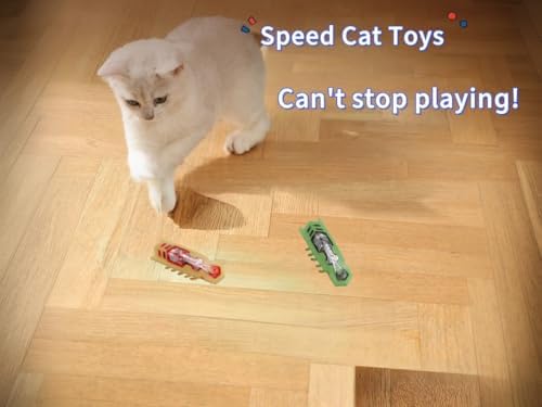 Cat Interactive Teaser Toys 2PCS Electric Moving Beetle Mini Electric Robot Beetle Electric Funny Interactive Toy Heal Loneliness for Cat Kitten Replaceable Battery (Green+Orange)