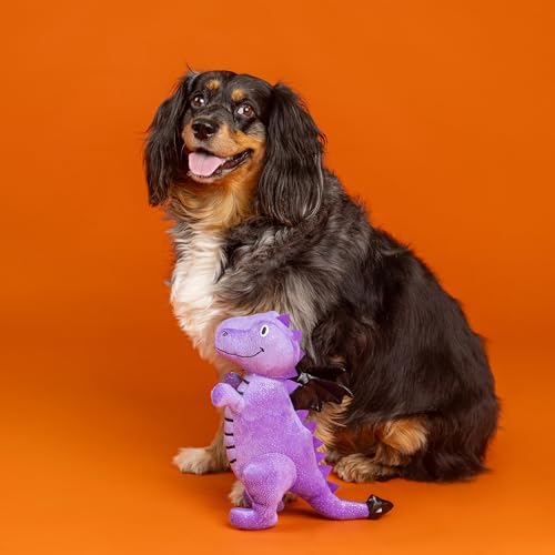 Fringe Studio Pet Toy, Don't BE A Drag-ON Plush Dog Toy, PetShop Collection (314626)