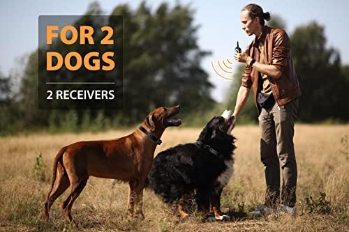 PATPET Dog Shock Collar for 2 Dogs, 3/4 Mile Range E Collar for Dogs Training with 3 Training Modes, Waterproof Training Collar for Large Dogs 15-140lbs, Rechargeable