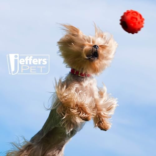 Jeffers Pet Natural Rubber Dog Chew Toy – Red Hollow Ball, Medium – Treat Dispensing, Vanilla Scent, Durable, Non-Toxic, Dishwasher Safe, Interactive Fetch & Tug Toy - Perfect for Training