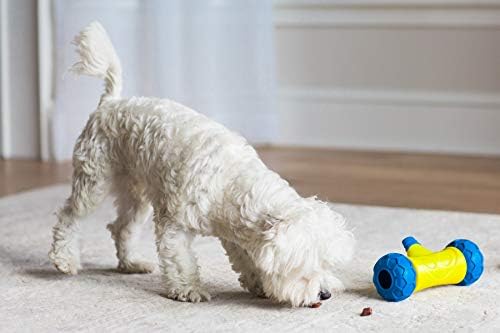 JW Pet 32290 RoboBone Electronic Treat Dispenser, Yelow/Blue