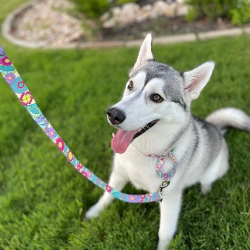 Lucky Love Dog Martingale Collar & Leash Set No Slip – Caroline, Medium