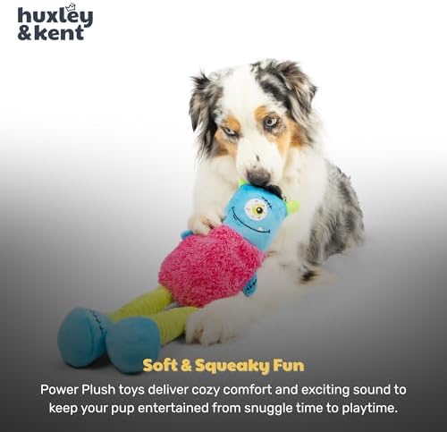 Huxley & Kent Funny Dog Toy w/Squeaker – Halloween Power Plush Squeaky Dog Toys for Small, Medium, Large Dogs – Soft Stuffed Animal for Indoor Play & Fetch - Lankies Gizmo Monster, One Size