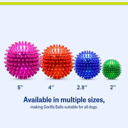 PetSport Gorilla Spiky Ball 4” - Spiky Rubber Dog Ball Toy, Interactive Puppy Toy for Small and Medium Size Dogs, TPR Rubber, Vanilla Scented - 4 Inch, Large