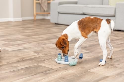 TRIXIE Pet Products Mini Solitaire Game for Dog, Level 1, White/Blue, 7.75 x 7.75 in. (32023)