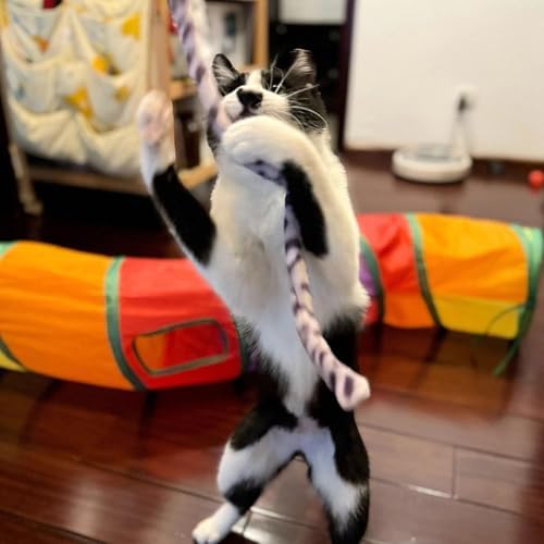 3 PCS Cat Wands, Soft Plush Srtip Kitten Wands Interactive Kitten Toys Cute Teaser Wands for Indoor Cats