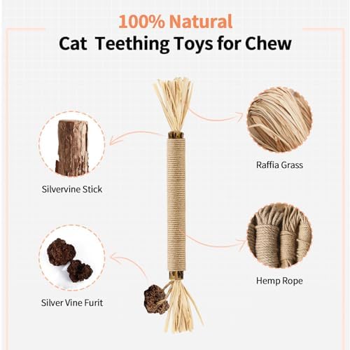 6 Silvervine Sticks Cat Toys with Catnip & Silvervine Powder Set