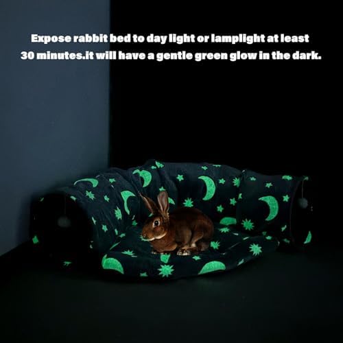 BWOGUE Bunny Tunnel Bed, 2-in-1 Collapsible Rabbit Tunnel Hideout with Mat