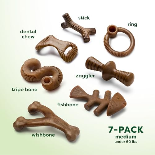 Benebone 7-Pack Dog Chew Toys for Aggressive Chewers, Dog Bones, Medium