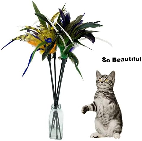 Cat Wand Toy Feather Stick Cat Toys, 6 Pieces Interactive Cat Toy Feathers Wand for Indoor Cats (C)