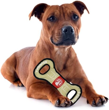 Pets First NBA Atlanta Hawks Field Toy. - Tough Nylon Pet Toy with Double Trim Stitching & Inner Squeaker, One Size