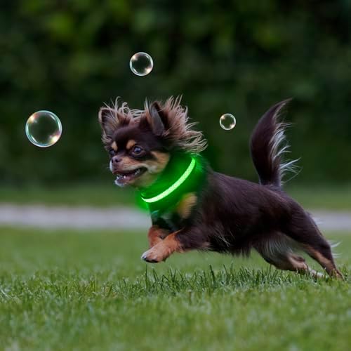 Flashseen LED Dog Collar, Light Up Dog Collar USB Rechargeable, Green, XS